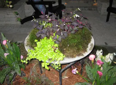 hardscapes