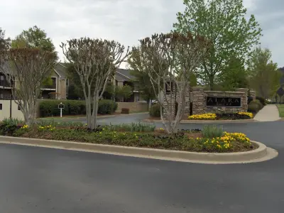 landscaping