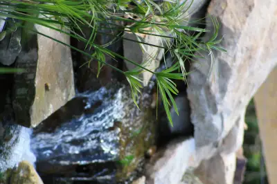 water-features